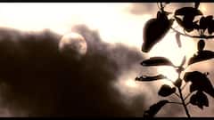 Weather Update: দক্ষিণবঙ্গে আগামী কয়েকদিন হালকা থেকে মাঝারি বৃষ্টি, পশ্চিমের জেলাগুলিতে ভারী বৃষ্টির পূর্বাভাস