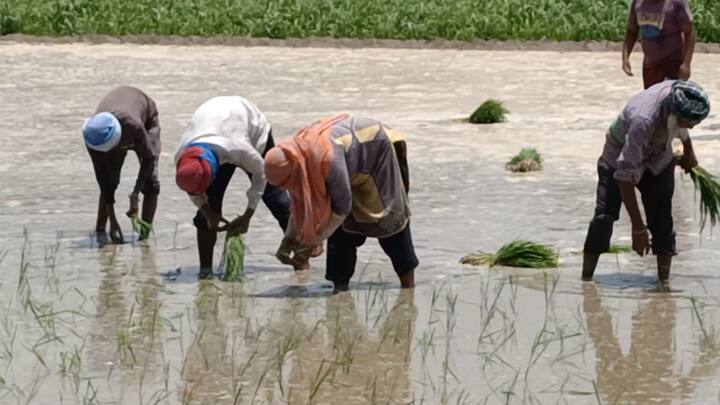 ਉਨ੍ਹਾਂ ਕਿਹਾ ਕਿ ਸਰਕਾਰ ਵਲੋਂ ਜੋ ਨਵੀਆਂ 8393 ਪੋਸਟਾਂ ਨਿਕਲੀਆਂ ਹਨ, ਉਸ ਵਿੱਚ ਨੌਕਰੀ ਦਿੱਤੀ ਜਾਵੇ। ਉਨ੍ਹਾਂ ਵਲੋਂ ਆਉਣ ਵਾਲੀਆਂ ਚੋਣਾਂ ਵਿੱਚ ਵੋਟਾਂ ਦਾ ਬਾਈਕਾਟ ਕੀਤਾ ਜਾਵੇਗਾ।