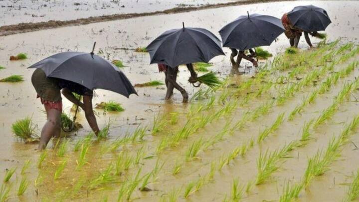Rajkot rains break five-year record in June, farmers happy with 8.49 inches of rain રાજકોટમાં જૂન મહિનામાં વરસાદે પાંચ વર્ષનો રેકોર્ડ તોડ્યો, 8.49 ઇંચ વરસાદ પડતા ખેડૂતોમાં ખુશીનો માહોલ