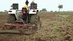 हवामान खात्याचा चुकीचा अंदाज, शेतकऱ्यांच्या डोळ्यात पाणी, पावसाअभावी मराठवाड्यात पेरणी खोळंबली