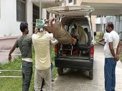 बिहार: किराए के मकान में मिली महिला की लाश, छह महीने पहले पति को छोड़कर प्रेमी से की थी शादी