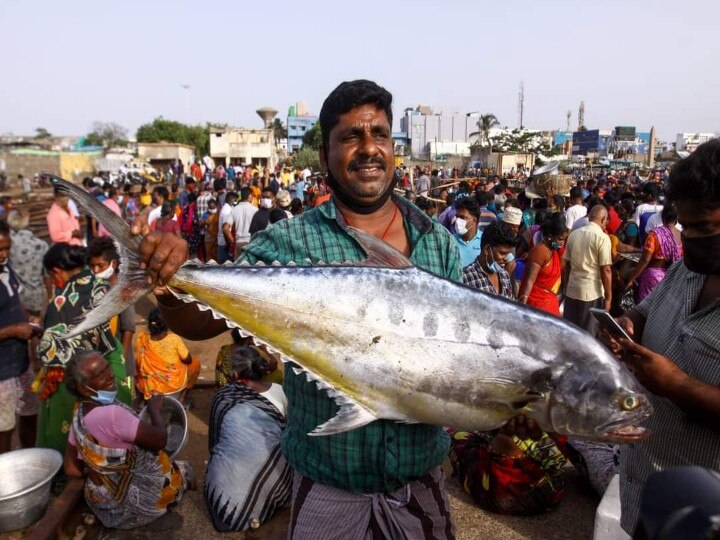 மீன்பிடி தடைகாலத்தில் படகுகளுக்கு முழு ஊரடங்கு; மீனவர்கள் கோரிக்கை !