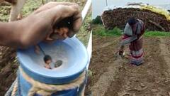 Jalna : पावसाअभावी मराठवाड्यात पेरणी खोळंबली, शेतकऱ्यांच्या चिंतेत वाढ