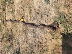 BSF Guns Down Pakistani Smuggler In Kathua; Recovers 27 Packets Of Heroin Worth Rs 135 Cr