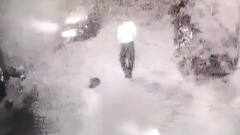 17-year-old girl thrown off second floor by alleged harassers