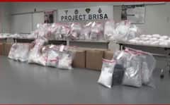 ਕੈਨੇਡਾ 'ਚ ਵੱਡੇ ਡਰੱਗ ਰੈਕੇਟ ਦਾ ਪਰਦਾਫਾਸ਼, ਕਈ ਪੰਜਾਬੀ ਗ੍ਰਿਫ਼ਤਾਰ