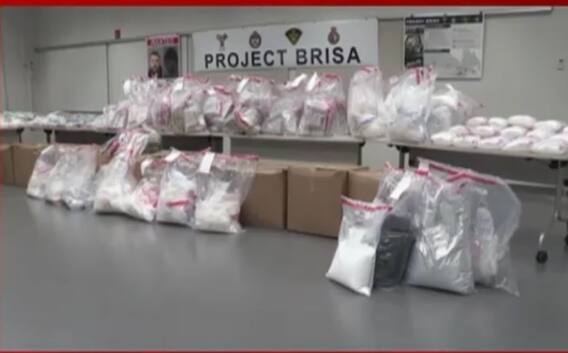 ਕੈਨੇਡਾ 'ਚ ਵੱਡੇ ਡਰੱਗ ਰੈਕੇਟ ਦਾ ਪਰਦਾਫਾਸ਼, ਕਈ ਪੰਜਾਬੀ ਗ੍ਰਿਫ਼ਤਾਰ