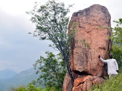 தேனி : தமிழனின் தொன்மைகூறும் 2,500 ஆண்டுகள் பழமைவாய்ந்த  பெருங்கற்கால சின்னங்கள்..!