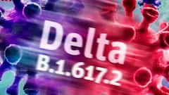 Corona Delta Plus : राज्यात डेल्टा प्लसचे 22 रुग्ण, कोरोनाची तिसरी लाट अटळ? प्रशासनाची कितपत तयारी?