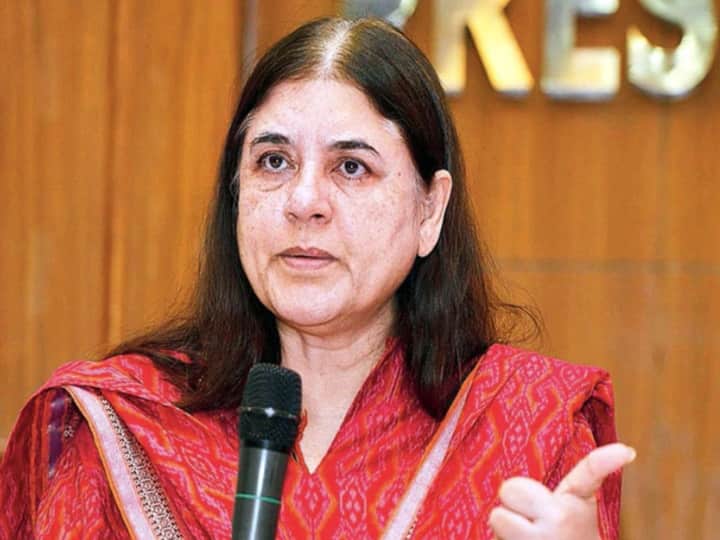 BJP MLA Who Called Maneka Gandhi 'Ghatiya' Over Her Remarks To Vet, Says 'What I Said About Her Is Apt' BJP MLA Who Called Maneka Gandhi 'Ghatiya' Over Her Remarks To Vet, Says 'What I Said About Her Is Apt'
