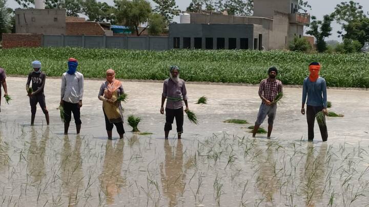 ਉਨ੍ਹਾਂ ਕਿਹਾ ਕਿ ਸਰਕਾਰ ਸਿਰਫ਼ ਆਪਣੇ ਕਰੋੜਾਂਪਤੀ ਵਿਧਾਇਕਾਂ ਨੂੰ ਨੌਕਰੀ ਦੇ ਰਹੀ ਹੈ। ਆਮ ਲੋਕਾਂ ਲਈ ਸਰਕਾਰ ਕੋਲ ਕੋਈ ਨੌਕਰੀ ਨਹੀਂ ਹੈ।