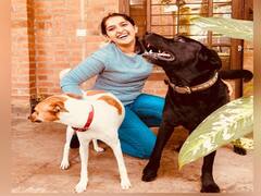 Sanusha Santhosh pics : யாரடியோ அழகதன் வேற்பொருளாய் உலகினில் நீ பிறந்தாய் சகி…