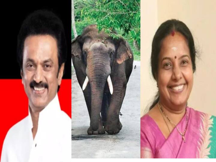 Vanathi Srinivasan tweeted about elephant, while CM Stalin described DMK as uncontrollable elephant CM Stalin on DMK: ‛அடக்கப்பட்ட யானை... காட்டு யானை... கும்கி யானை...’  முதல்வர் பேச்சை கிண்டலடித்து வானதி ட்விட்!