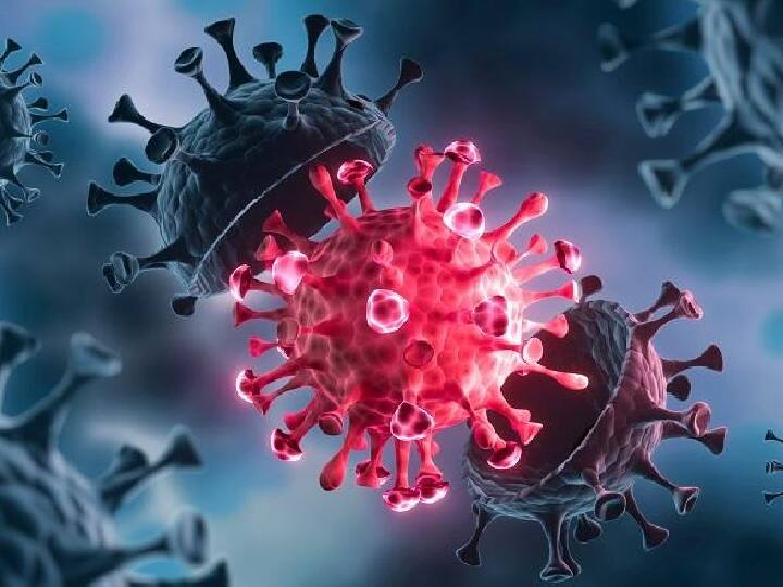 North bengal may be epicenter of coronavirus third wave in west bengal Health experts warns WB Corona: রাজ্যে করোনার তৃতীয় তরঙ্গের উৎসস্থল হতে পারে উত্তরবঙ্গ, মত স্বাস্থ্য বিশেষজ্ঞদের