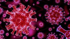 India Covid Update: উদ্বেগ বাড়িয়ে দেশে দৈনিক করোনা সংক্রমণ বৃদ্ধি, সামান্য কমল মৃত্যু