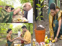 PHOTO : 'सुख म्हणजे नक्की काय असतं'मधल्या गौरीची पहिली वटपौर्णिमा!