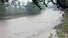 છોટાઉદેપુરના નસવાડીના ગ્રામ્ય વિસ્તારોમાં ધોધમાર વરસાદ, જુઓ વીડિયો