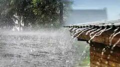 West Bengal Weather Updates:আজও সব জেলায়  বৃষ্টির পূর্বাভাস, প্রবল বর্ষণে দার্জিলিংয়ে জাতীয় সড়কে ধস