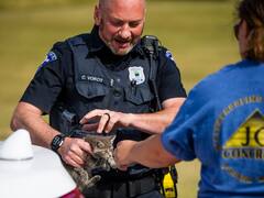 மாட்டிக்கொண்ட பூனை...  லாவகமாக காரை நிறுத்திய போலீஸ்