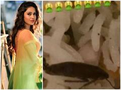 इस अभिनेत्री के खाने में निकला कॉकरोच, तस्वीर दिखाकर रेस्टोरेंट को सुनाई खरी-खोटी