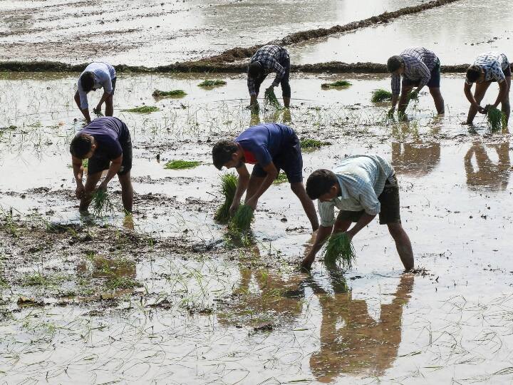 Israeli formulas to improve agriculture in India Israel will also help to overcome Bundelkhand water crisis ANN भारत में खेती-किसानी की सेहत सुधारने के इजराइली नुस्खे, बुंदेलखंड का जल-संकट दूर करने को भी 'दवा' देगा इजराइल