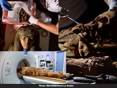 Egyptian Mummy : CT scan च्या मदतीने तीन हजार वर्षांपूर्वीच्या 'ममी'चं गूढ उलघडणार, इटलीतील प्रयोग