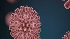 कोरोना का सबसे खतरनाक वैरिएंट है डेल्टा प्लस । कोरोना की तीसरी लहर से पहले लगेगी बच्चों को वैक्सीन?