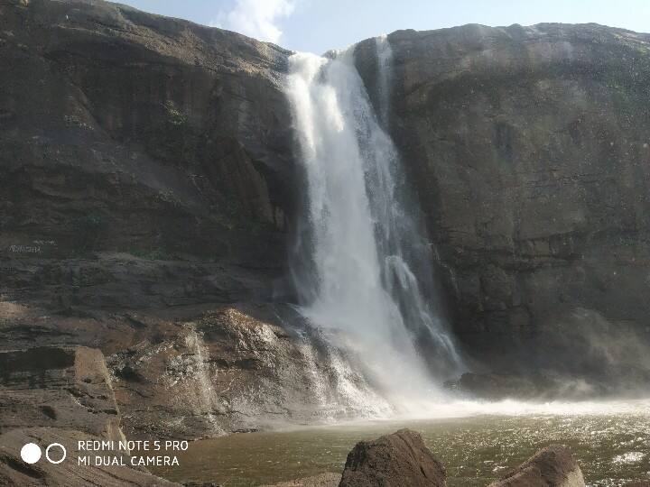 தொடர்ச்சியாக அச்சம்.. மிரட்டும் காட்டு யானை ; வால்பாறை - சாலக்குடி சாலையில் போக்குவரத்துக்கு தடை