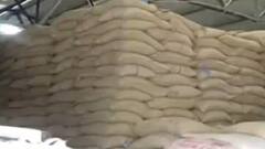 સમાચાર શતકઃ અનાજ કૌભાંડમાં અમદાવાદ ક્રાઇમ બ્રાન્ચે આઠ આરોપીની કરી ધરપકડ