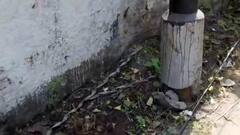 Khardaha Shootout: খড়দায় গুলি চলার অভিযোগ, আহত বেসরকারি কেবল সংস্থার কর্মী