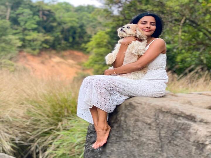 ப்ரியா ஆனந்த் முதலில் நடித்த திரைப்படம் புகைப்படம். ஆனால், சில காரணங்களால் அந்த திரைப்படம் சரியாக வெளிவரவில்லை.