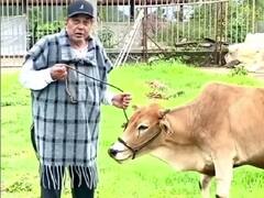 अपने फार्महाउस में ऐसे वक्त बिता रहे हैं धर्मेंद्र, देखिए ये बछड़े को चराने का खूबसूरत वीडियो