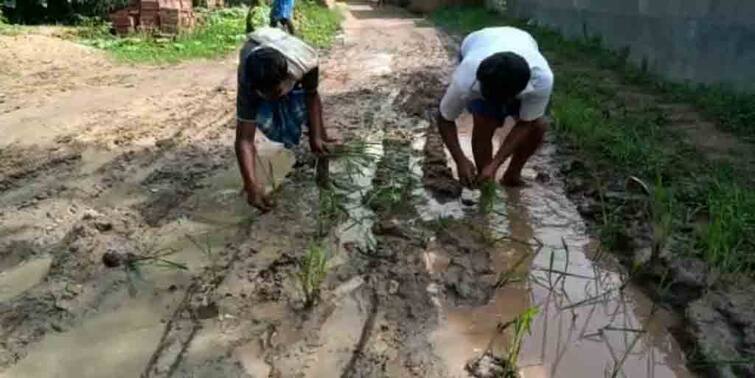 Protest by planting paddy in the streets, pictures of suffering in the first monsoon from coochbihar to Birbhum রাস্তায় ধানগাছ পুঁতে প্রতিবাদ, প্রথম বর্ষাতেই ভোগান্তির ছবি  কোচবিহার থেকে বীরভূমে