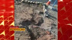 ABP News ABP News