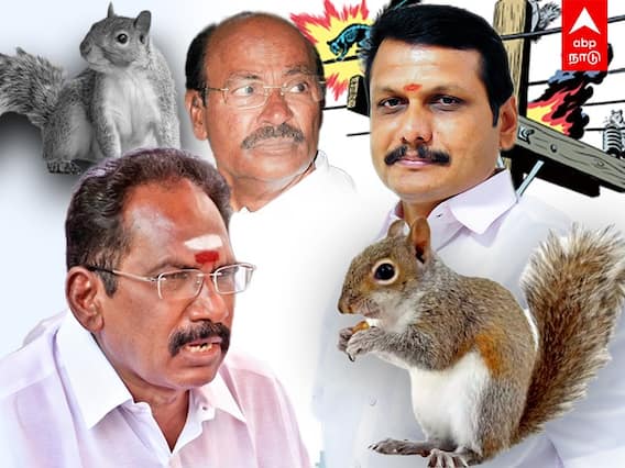 Senthil balaji squirrel : அணிலுக்கு அக்கப்போரா ? தமிழ்நாடு விஞ்ஞானிகள் சண்டை...