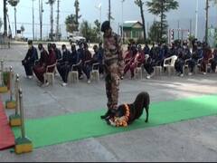 ITBP के स्निफर डॉग 'चौको' को दी गई शानदार विदाई, 11 साल की नौकरी के बाद रिटायरमेंट