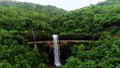 Konkan : पावसाळ्यात कोकणचं सौंदर्य खुललं, रत्नागिरी, चिपळूणमध्ये सर्वत्र हिरवे हिरवे गार गालिचे...