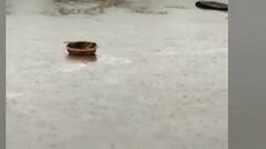 कोपरगावात मुसळधार, चाळींमध्ये साठवलेल्या कांद्याचं मोठं नुकसान, शेतात-घरातही पाणी शिरून नुकसान