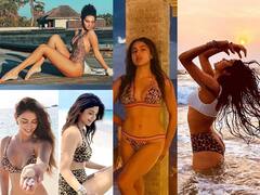 In Pics : Shilpa Shetty पासून ते Disha Patani पर्यंत...अभिनेत्रींच्या अॅनिमल प्रिंटेड स्विमसूटमधील 'या' अदा पाहिल्यात का?