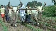 રાજ્યમાં આગામી 10 દિવસ વરસાદ નહિવત, સિસ્ટમ સક્રિય ન હોવાથી હાલ વરસાદનો વિરામ