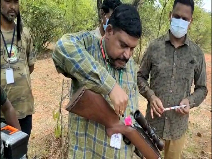 ஆப்ரேஷன் பாகுபலி' - வனத்துறை வியூகங்களை தவிடுபொடியாக்கும் காட்டு யானை!