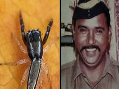 'Icius Tukarami': New Spider Species Named After Mumbai Cop Tukaram Omble Who Captured Terrorist Kasab