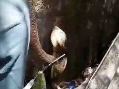 In Pics : भिवंडीत पाणीपुरवठा चौकीत साडेपाच फुटी कोब्रा घुसल्याने कामगाराची पळापळ!