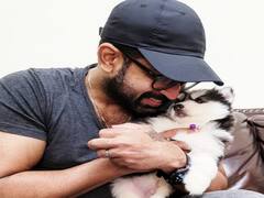 Action hero Arun vijay pics : எல்லாமே இனி மேல் நல்லாதான் நடக்கும் பட்டாசு சும்மாவே கொளுத்தாம வெடிக்கும் - அருண் விஜய்