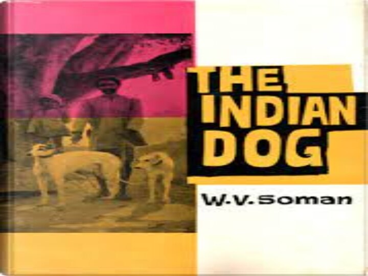 Poligar, Rajapalayam Dog Difference: 'இராஜபாளையமும் poligar ஹவுண்ட்களும்’  நாய் இனங்களின் உண்மை கதை..!