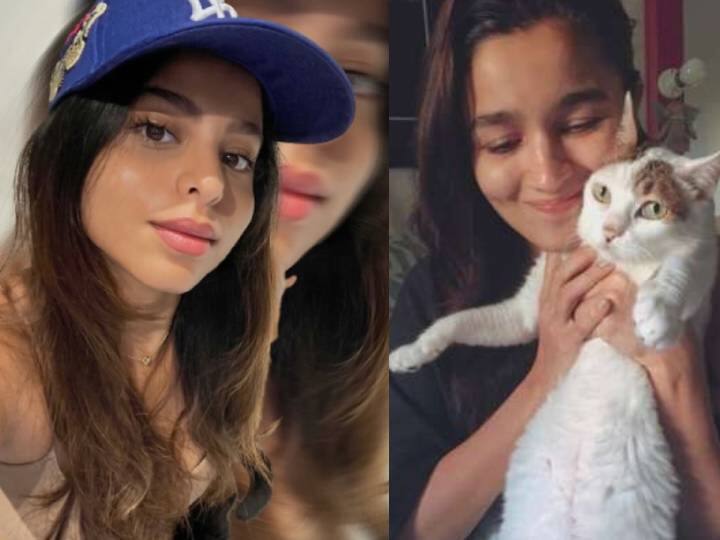 शाहरुख खान के बेटी सुहाना खान ने खुद को बताया 'Cat Lady', आलिया भट्ट ने दिया ये रिएक्शन
