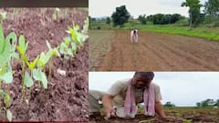 Special Report : कोरोनानंतर पावसाकडूनही शेतकऱ्याचा खेळ; पेरणीनंतर पवासाची दडी, दुबार पेरणीचं संकट