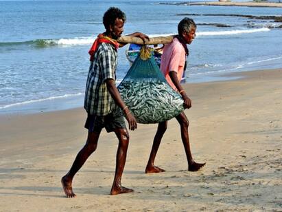 Rameswaram fishermen suffering from lack of fish மீன்பிடி தடைகாலத்தில் படகுகளுக்கு முழு ஊரடங்கு மீனவர்கள் கோரிக்கை !