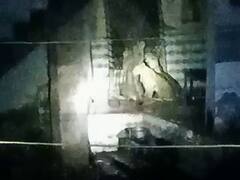 Amreli : એકલા રહેતા મહિલાના ઘરમાં 3 સિંહબાળે 20 મિનિટ સુધી નાંખ્યા ધામા, વીડિયો વાયરલ