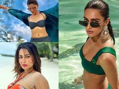 રુબિના દિલૈકથી લઇને હિના ખાન સુધી, 'સંસ્કારી વહુ'ની ઇમેજ તોડવા માટે આ અભિનેત્રીઓએ બતાવ્યો બિકીની અવતાર